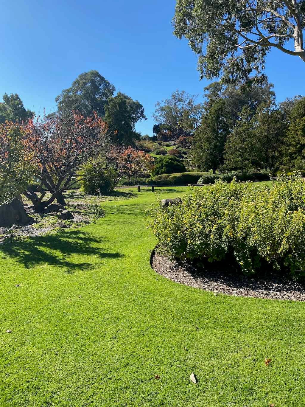 May 2023 Bathurst Mayfield Garden Tour Image -64605b6564246